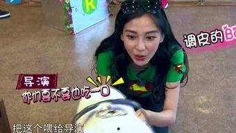 娱乐吃瓜酱笑声在线观看