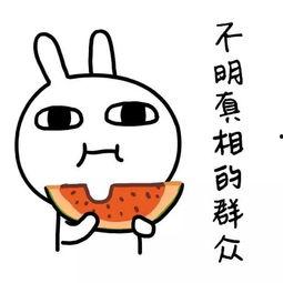 娱乐吃瓜酱过早懂事,娱乐吃瓜酱的成长轨迹揭秘